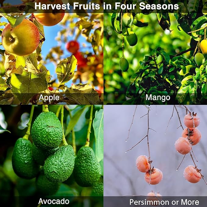 DonSail Fruit Picker Pole Tool with Basket Telescoping, Adjustable Apple Picker Pole 35-170 inch Long Handle, Mango Orange Avocado Fig Acorn Lemon Pear Pomelo Chery Picker for Tree