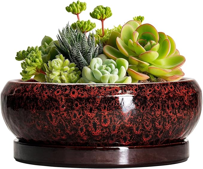 EPFamily Succulent Planters 6 Inch - Ceramic Bonsai Pots with Drainage Hole and Saucer, Small Bonsai Planter, Round Planter Bowl, Shallow Plant Pots Indoor, Room Decor, Gifts for Plant Lovers, Red
