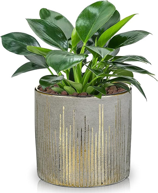 Small Ceramic Pot for Indoor Plants, 5.3 inch Plant Pot with Drainage Hole Decorative Texture Gold Planter Indoor Outdoor Flower Pots for Succulent Snake Plant Pothos Orchid