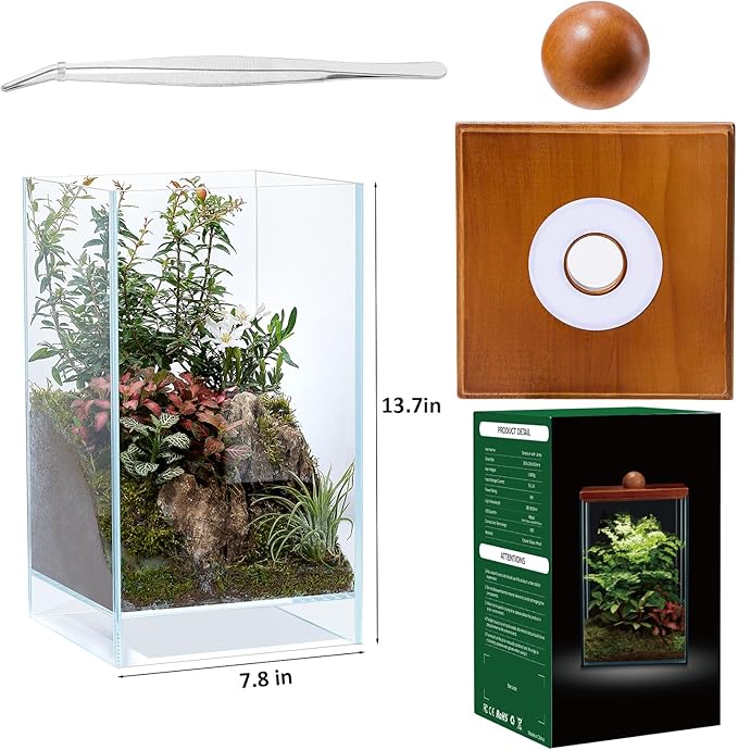13.7H+7.8W Desktop Glass Plant Terrarium with Light, Large Propagation Station for Succulent, Moss, Miniature Gardening Landscape, Betta Fish Tank