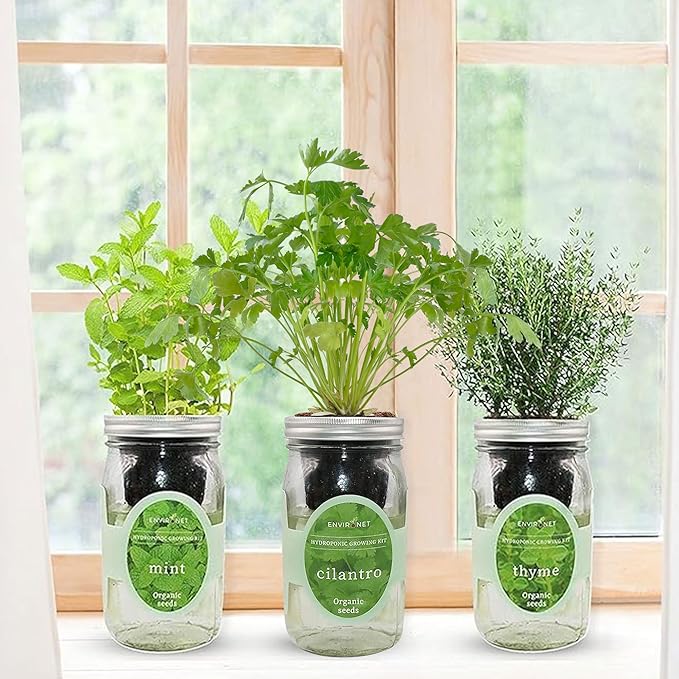 Environet Hydroponic Growing Kit Set, Self-Watering Mason Jar Herb Garden Starter Kit Indoor, Window Herb Garden, Grow Your Own Herbs from Organic Seeds (Mint, Cilantro and Thyme)