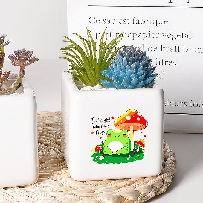 BJDAMAI Frog Succulent Planter Flower Plant Pot Small, Gifts for Women Teens Girls Kids, Frog Lovers Themed Stuff Accessories Things Decor Merch, Home Office Table Desk Decoration!