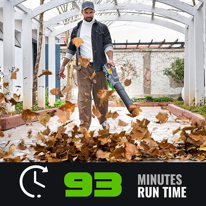 Electric Leaf Blower, 810 CFM Variable-Speed, 60-Volt Lithium-ion Cordless Leaf Blower with 2.5Ah Battery and Charger Included, Powerful for Yard Cleaning
