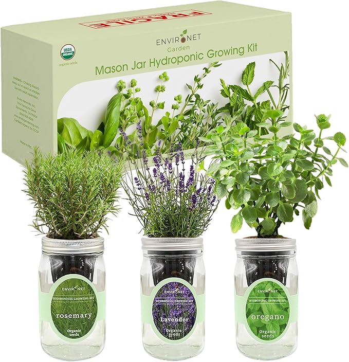 Environet Hydroponic Herb Growing Kit Set, Self-Watering Mason Jar Herb Garden Starter Kit Indoor, Windowsill Herbs Garden, Grow Your Own Herbs from Organic Seeds (Rosemary, Lavender, Oregano)