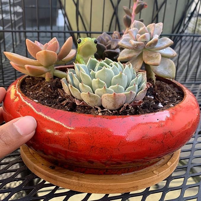 ARTKETTY Succulent Pots, 1 Rectangle Planter + 1 Ceramic Bonsai Pot with Drain Tray, 2 Pack Large Shallow Succulent Planters for Indoor Plants, Round Cactus Flower Plant Pot for Desk Windowsill Decor