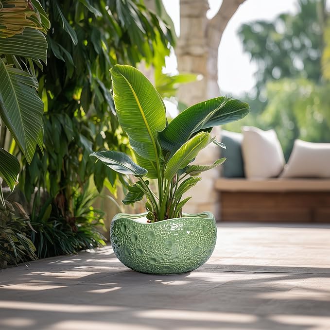 Thirtypot Ceramic Pots for Plants - 13 Inch Large Bonsai Pots Indoor Outdoor, Round Plant Pot with Drainage Hole, Decorative Flower Pot, Modern Unique Planters, Patio Decor, Plant Lover Gifts, Green