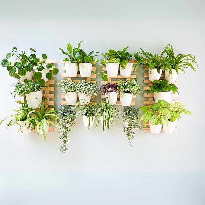 ShopLaLa Wooden Wall Planter - 2 Pack Wall Hanging Planters for Indoor Plants Ladder Wall Mount Natural Wood Holder Flower Pots Vertical Living Balcony Unique Large Green Plant Decor 23.6" (60cm)