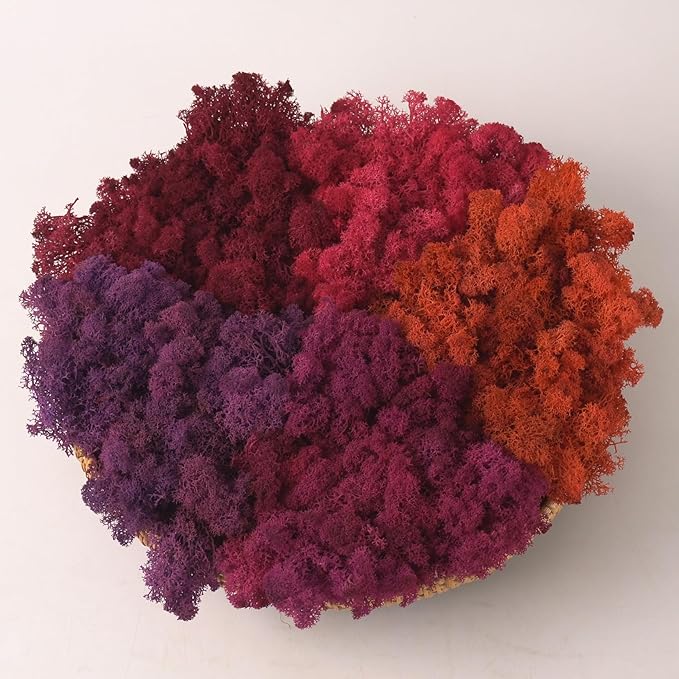 prefleur Preserved Reindeer Moss Natural Green DIY Kit Gardenning Art Wall Decor Florist Decor Easter Table Decor Wedding