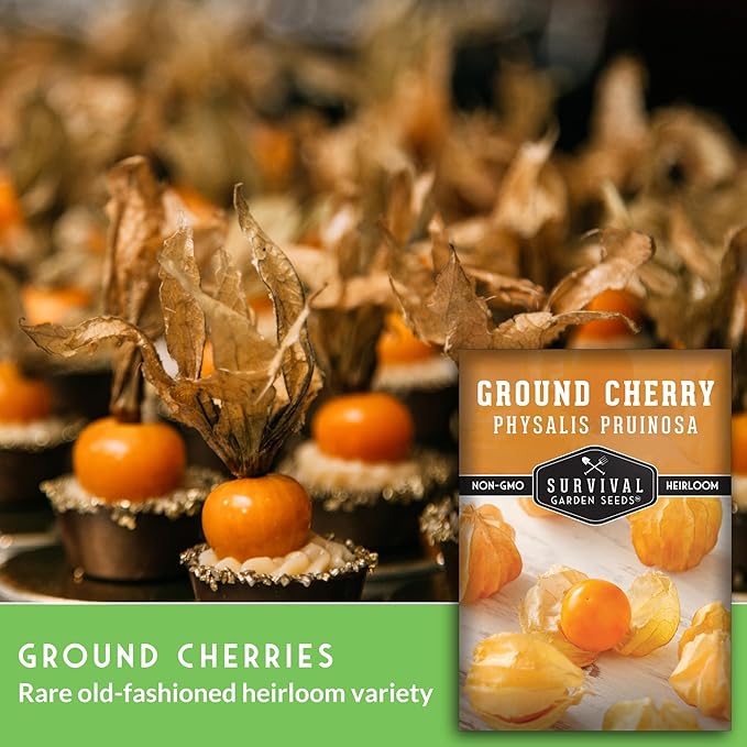 Ground Cherry Seeds for Planting – High Yield Heirloom Cape Gooseberry with Sweet Golden Fruit in Papery Husks, Non-GMO Golden Berry Garden Favorite - Survival Garden Seeds (1 Pack)