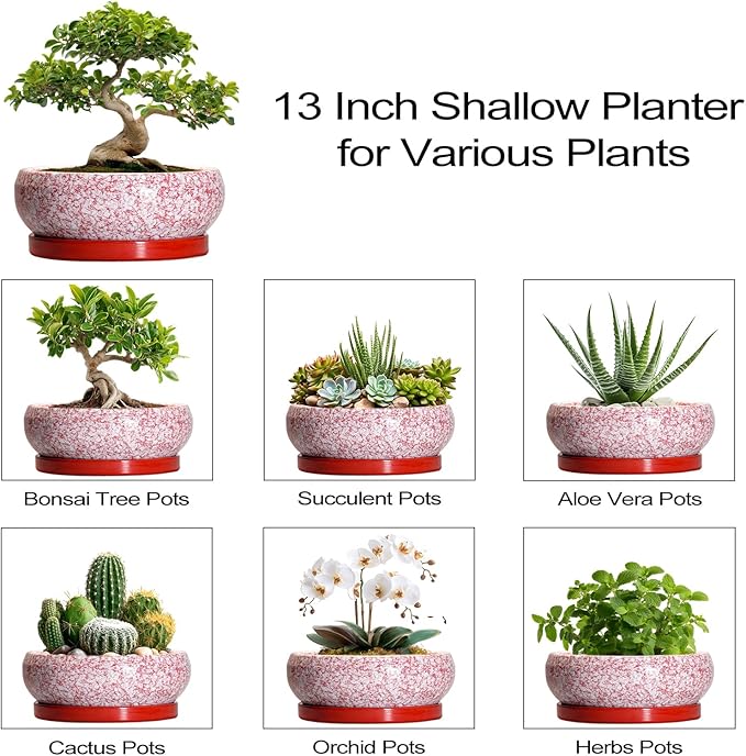 EPFamily Bonsai Tree Pots 13 Inch - Ceramic Bonsai Pots with Drainage Hole and Tray, Large Succulent Planters Indoor, Round Bowl Planter Outdoor, Shallow Planter, Garden Decor, Plant Lover Gifts, Red