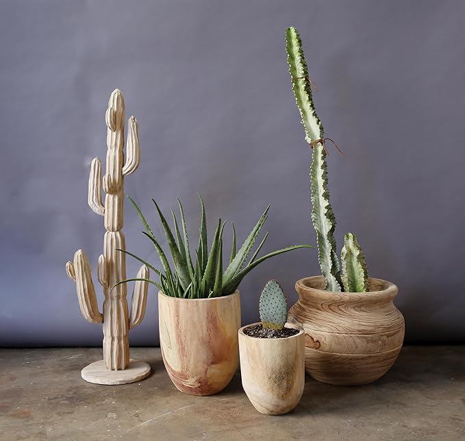 Creative Co-Op Rounded Paulownia Wood Pots (Set of 2 Sizes)