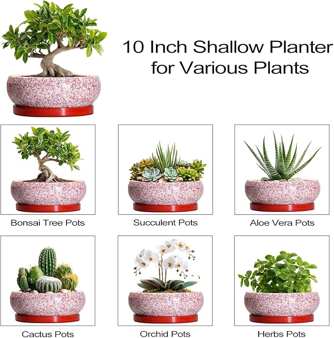 EPFamily Bonsai Pots 10 Inch - Ceramic Succulent Planters for Indoor Plants Outdoor, Succulent Pots with Drainage Hole and Tray, Round Shallow Planter, Bonsai Planter, Home Decor, Gardening Gift, Red