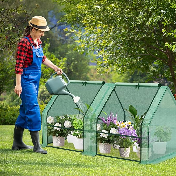 Aoodor 6 x 3 x 3 ft Mini Greenhouse with 2 Zipper Doors, Water-Resistant, UV-Protected for Flowers, Vegetables, and Herbs, Includes 2 Covers