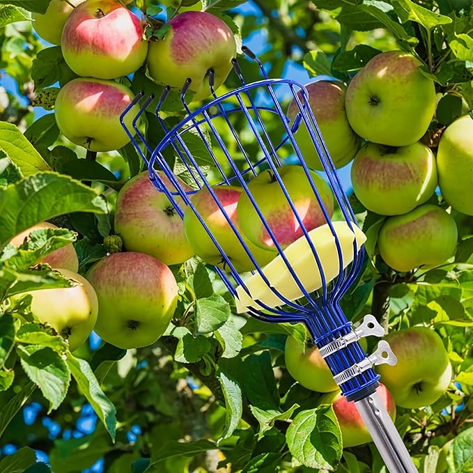 Fruit Picker Tool with Basket, 35-129 Inch Adjustable Long Handle Fruit Picking Pole - for Harvesting Lemon Avocado Apple Mango Pear Orange & Tall Tree Fruits