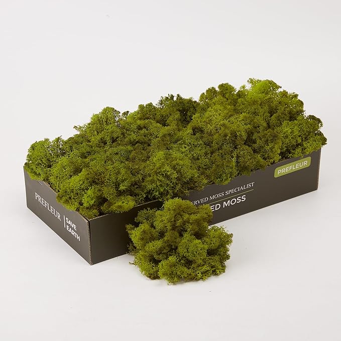 prefleur Preserved Reindeer Moss Natural Green DIY Kit Gardenning Art Wall Decor Florist Decor Easter Table Decor Wedding