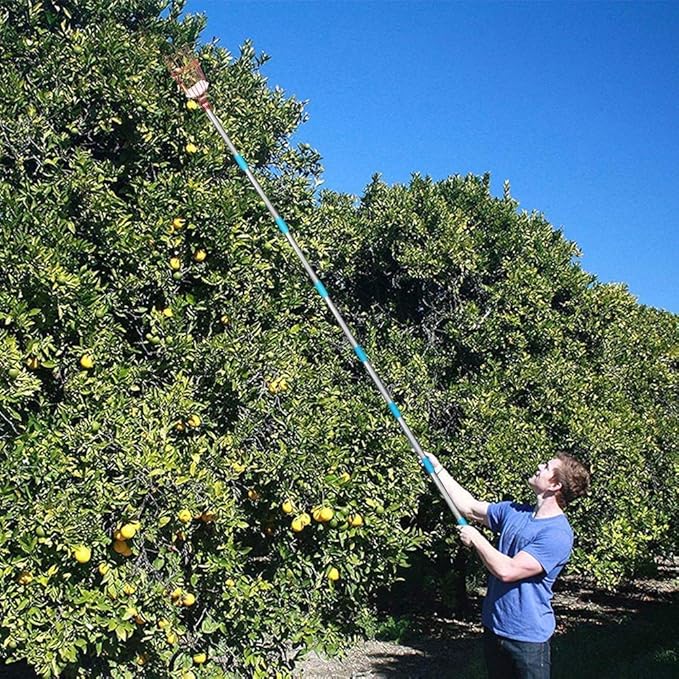 Fruit Picker Tool, Fruit Picker Pole with Basket Height Adjustable - 8FT Mango Lemon Orange Apple Picker - Fruits Catcher Tree Picker for Getting Fruits