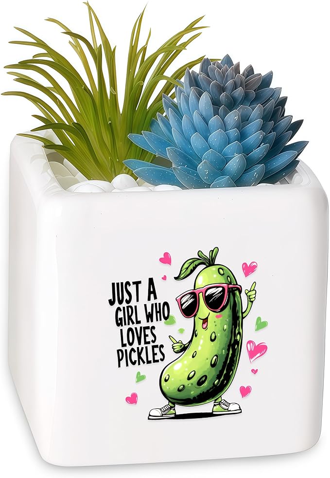 BJDAMAI Pickle Succulent Planter Flower Plant Pot Small, Gifts for Women Teens Girls Kids, Pickle Lovers Themed Stuff Accessories Things Decor Merch, Home Office Table Desk Decoration!