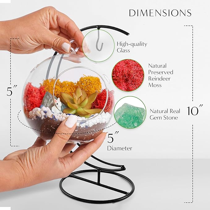 Creations by Nathalie - 5" Glass Globe Succulent Terrarium Kit, Hanging DIY Starter Kit for Kids and Adult, Metal Stand, Reindeer Moss, Crystal & Rocks, Tools, Figurine (Live Plant Included)