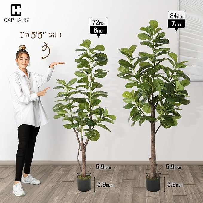 CAPHAUS Artificial Fiddle Leaf Fig Tree, 6/7 Feet in Pot with Dried Moss, for Indoor House Home Office Store, Potted Ficus Lyrata Faux Tree, Fake Plant Modern Decoration Gift for Housewarming
