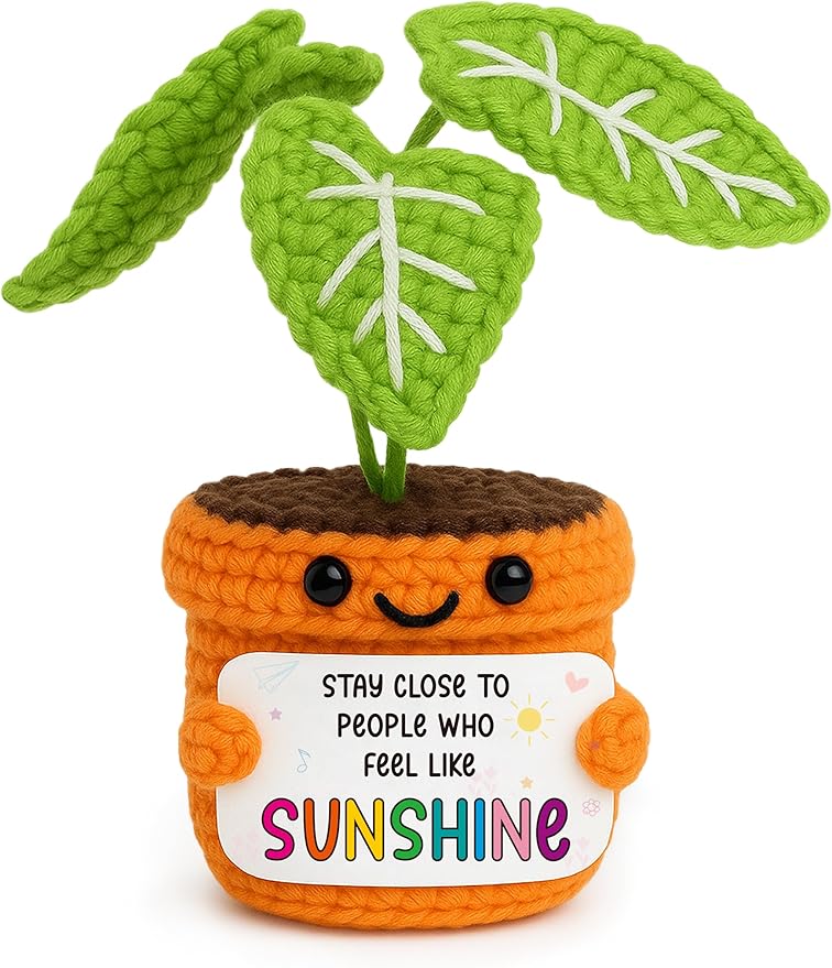 TKGIFTHOT Valentines Handmade Crochet Plant Potted Gift for Friend, Bestie, Coworker | Positive Sunshine Inspirational Desk Decor | Best Friendship & Uplifting Gifts for Her Him