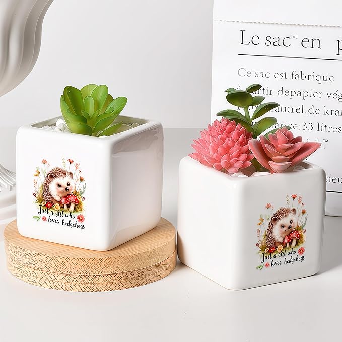 BJDAMAI Hedgehog Succulent Planter Flower Plant Pot Small, Gifts for Women Teens Girls Kids, Hedgehog Lovers Themed Stuff Accessories Things Decor Merch, Home Office Table Desk Decoration!