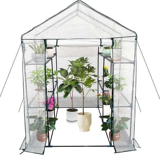 Walk-in Greenhouse for Outdoors, Small Green House Outdoor with 3-Tier Shelves, Roll-Up Zippered Door & Mesh Window, All-Season Plant House for Vegetables Herbs Flowers for Patio Backyard Gardening