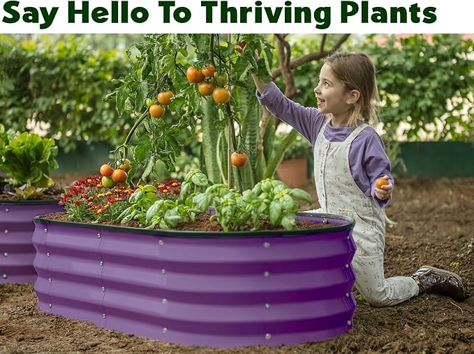Galvanized Raised Garden Beds Outdoor // 4×2×1 ft (2-Pack) Planter Raised Beds for Gardening, Vegetables, Flowers (Purple) // Large Metal Garden Box