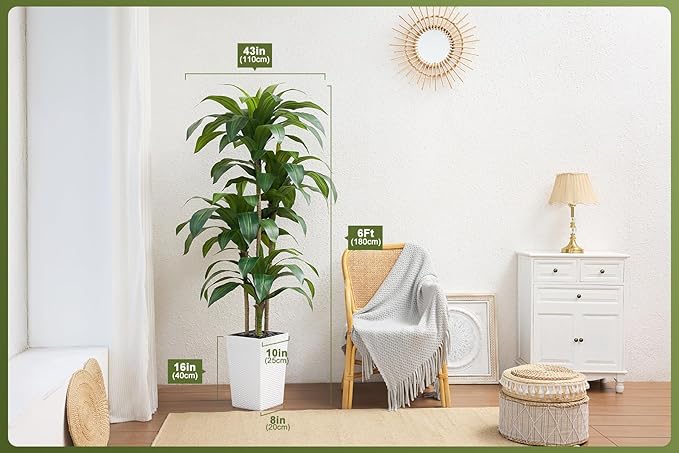 VeriNatural Artificial Dracaena Tree 6FT - Fake Tree with White Taper Planter & Pebbles - UV Resistant Faux Yucca Tropical Plant - Artificial Trees for Home Office Living Room Decor Indoor Outdoor