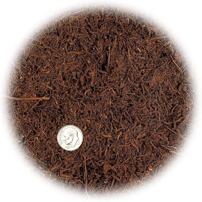 Premium New Zealand Tree Fern by GARDENERA - Orchid and Epiphytal Plants Growing Medium and Reptile Substrate - 1 Quart Bag