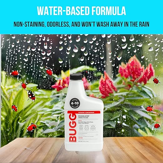 BUGGSLAYER Insecticide - Concentrate - Outdoor Box Elder Bugs, Stink Bugs, Asian Lady Beetles - 16 oz Bottle