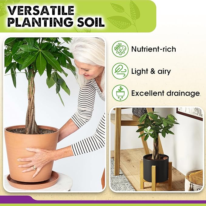 DUSPRO Recycle Money Tree Soil Indoor, Premium Coco Coir Perlite Mix and Pine Bark for Money Tree, Ideal Money Tree Soil for Healthy Growth and Nourishment (6 Quarts)