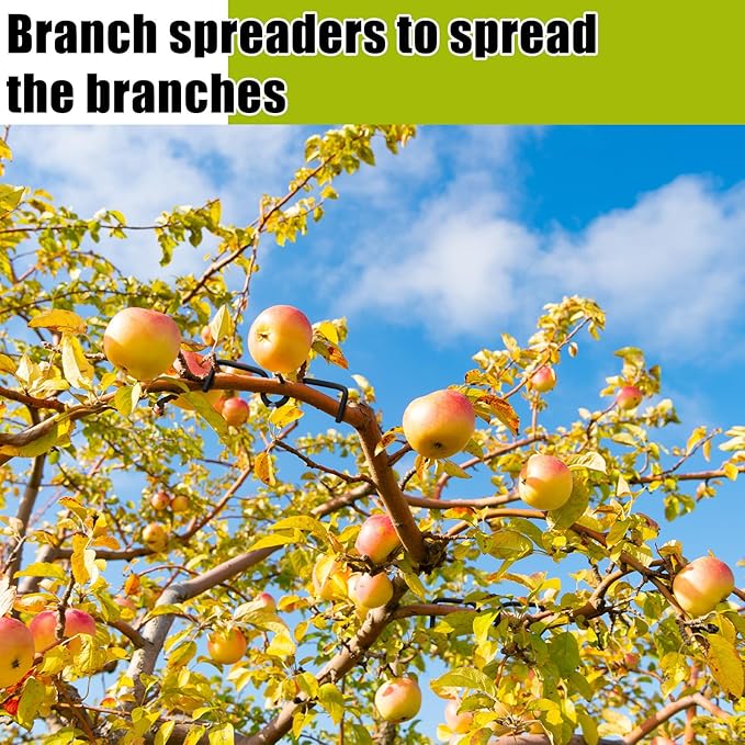50 Pcs Fruit Branch Spreader 5.12 Inch Fruit Tree Limb Spreader with Plastic Hose Wrapped Iron Wire, Open Angle Pull Branch Stereotyped Tying Bending Farm Tools