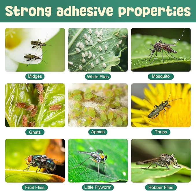 Mysora 24 Pcs Fruit Fly Traps Fungus Gnat Sticky Traps Yellow Round Ring for Pot Plants Indoor Outdoor Mosquito Flying Insects (S)