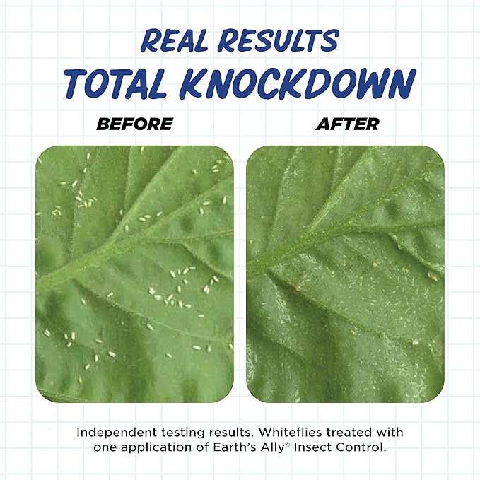 Earth's Ally Outdoor Indoor Plant Insecticide Concentrate - Insecticidal Soap for Plants - Insect Repellent Pest Control for Spider Mite, Aphid, Mealybug - Bee, Pet, Kid Safe - 32 Oz, Makes 5 Gallons