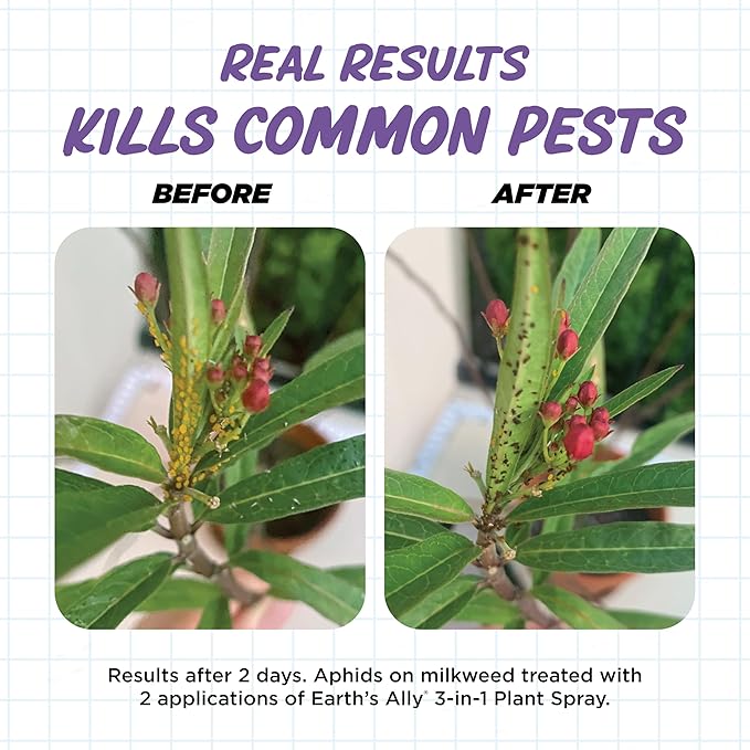Earth's Ally 3-in-1 Plant Spray for Pests and Disease - Organic Insecticide, Fungicide and Spider Mite Control - OMRI Listed Indoor Outdoor Garden Spray - Safe for Pollinators, Kids and Pets - 24 oz
