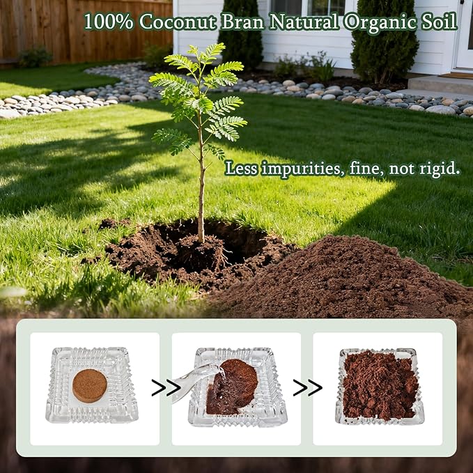 5X Bonsai Starter Kit, Bonzai Seed Kits, Durable Planting Bags, Complete Indoor Starter Kit for Growing Bonsai Plants, Gardening Gifts for Women & Men