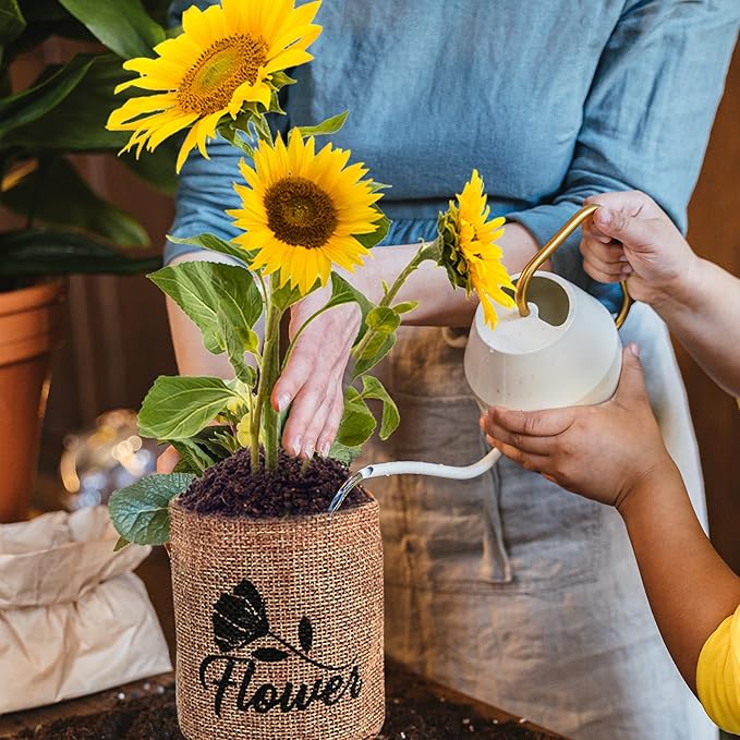 Sproutix Indoor Daisy Garden Starter Kit, 4 Flower Seeds Growing into Shasta Daisy, Cornflower, Sunflower, Zinnia, Including Complete Gardening Tools, Christmas Gifts for Women Men & Beginners