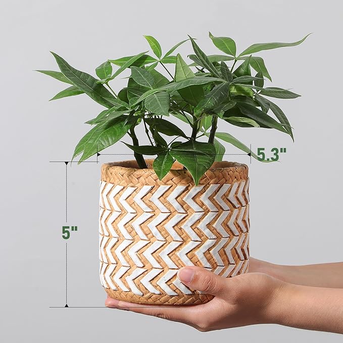 vomiceak Concrete Rattan-Style Plant Basket Planter, 5" Outdoor Indoor Plant Pots with Drainage Hole, Boho Flower Pot for Succulents, Herbs, Modern Farmhouse Decor, Ideal Gift for Plant Lovers