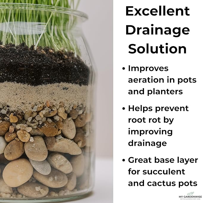 GARDENWISE Fine Sand for Plants – Horticultural Sand for Succulents, Cactus, Potting Mixes, Terrariums & Decorative Indoor Gardens, Made in USA (1 Quart - 2.8 lbs)