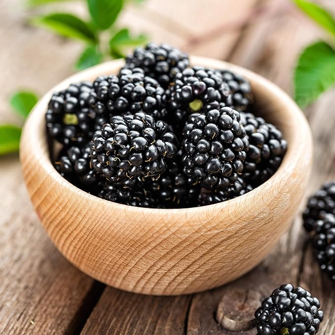KVITER 50 Black Raspberry Seeds (Rubus Occidentalis) – Organic Raspberries Heirloom Seeds, Non GMO Blackcap Berries Perennial Bush Seeds – Perfect Fruit Seeds for Planting in Any Outdoor Garden