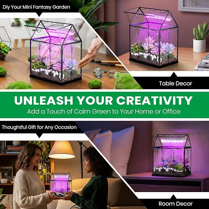 Meonum Tiny Glass Terrarium Kit with Grow Light, 7.1 x 4.7 x 8.7 Venus Fly Trap Terrarium with Absorbent Mat, Timer&3 Light Modes for Succulent Live Air Plants Indoor Home Office Decor (USB Powered)