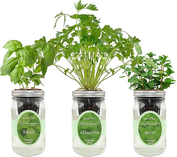 Environet Hydroponic Herb Growing Kit Set, Self-Watering Mason Jar Herb Garden Starter Kit Indoor, Window Herbs Garden, Grow Your Own Herbs from Organic Seeds (Basil, Cilantro and Mint)