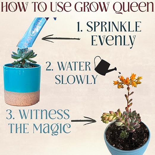 Grow Queen All-In-One Organic Succulent Fertilizer, Cactus Fertilizer, Succulent Plant Food, Bonsai & Cactus Food, 3 lb bag = 75 Single Servings, Fast & Slow Release feeds up to 300 plants for 8months