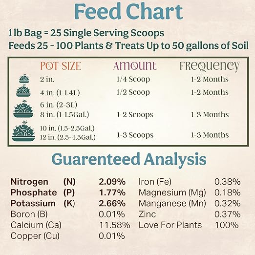 Grow Queen All-In-One Organic Succulent Fertilizer, Cactus Fertilizer, Succulent Plant Food, Bonsai & Cactus Food, 1lb bag = 25 Single Servings, Fast & Slow Release feeds up to 100 plants for 8 months