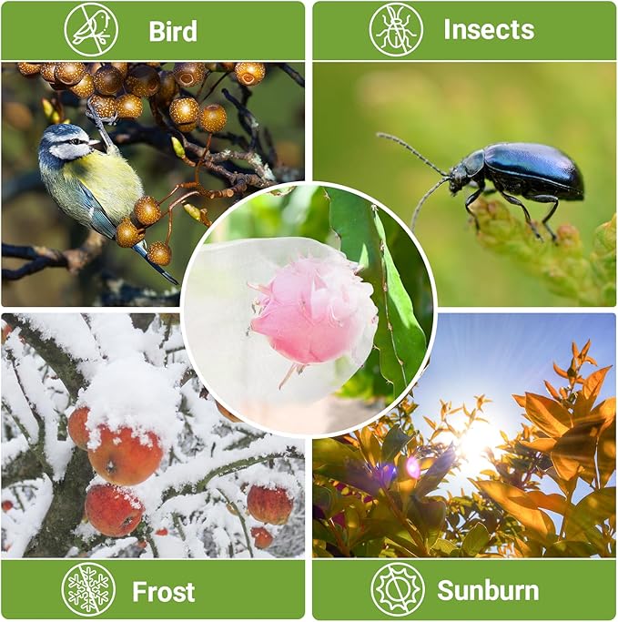 25pcs 10x10 Inch Plant Protection Cover Bags with Drawstring, Garden Netting for Fruit Trees, Vegetables, Flowers Against Bugs Birds Squirrels
