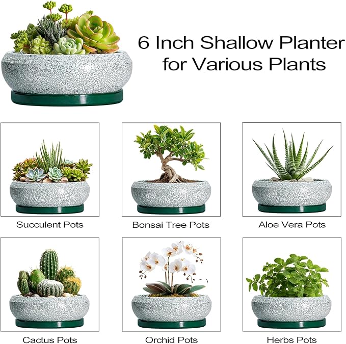 EPFamily Succulent Pots - 6 Inch Ceramic Pots for Succulent Indoor Outdoor, Small Plant Pot with Drainage Hole and Saucer, Bonsai Pot, Modern Round Planter, Window Decor, Housewarming Gifts, Green