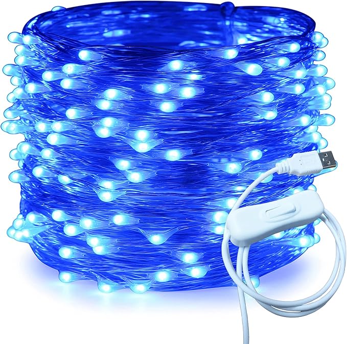 RUICHEN Silver Wire 66 Ft 200 LED USB Fairy String Lights with On/Off Switch (Blue)