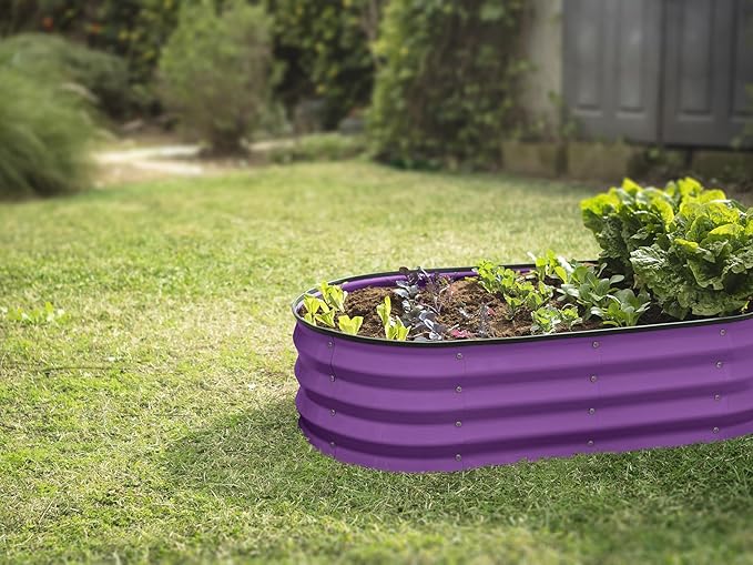 Galvanized Raised Garden Beds Outdoor // 4×2×1 ft (2-Pack) Planter Raised Beds for Gardening, Vegetables, Flowers (Purple) // Large Metal Garden Box