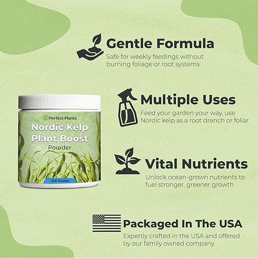 Nordic Kelp Plant Boost by Perfect Plants | Powder Seaweed Fertilizer to Support Strong Roots & Healthy Growth | Use On All Indoor & Outdoor Plants | NPK 0-0-17