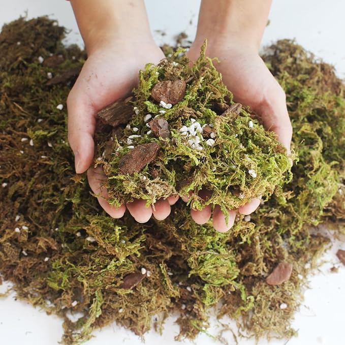 JFWOD 6QT Orchid Potting Mix with Moss Pine Bark Mulch Perlite & Coco Peat Natural Ingredients, Orchid Repotting Soil Medium Great for Indoor Plant Root Climbing & Expanding